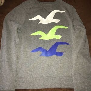 Hollister Crewneck